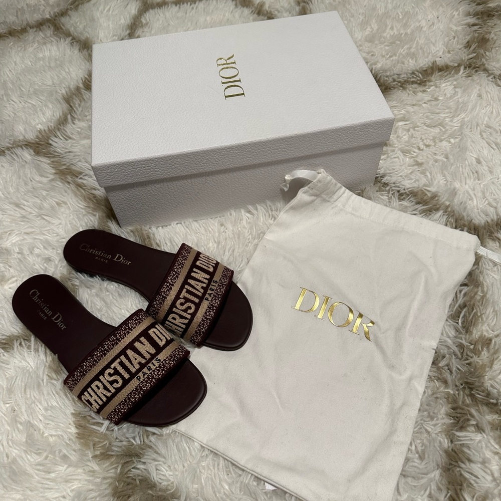 Christian dior dway slide